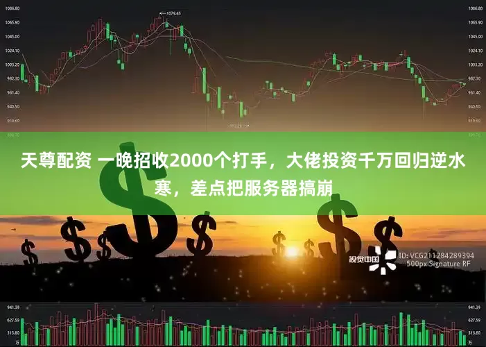 天尊配资 一晚招收2000个打手，大佬投资千万回归逆水寒，差点把服务器搞崩