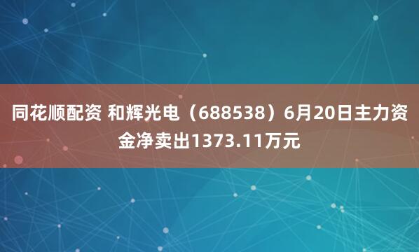 同花顺配资 和辉光电（688538）6月20日主力资金净卖出1373.11万元