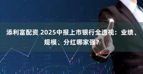 添利富配资 2025中报上市银行全透视：业绩、规模、分红哪家强？